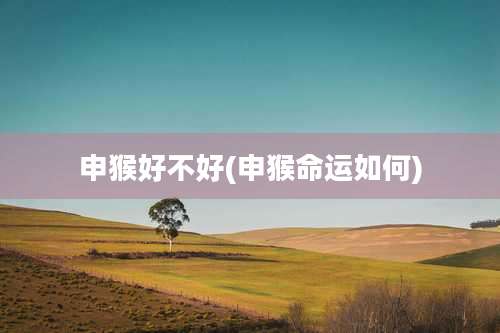 申猴好不好(申猴命运如何)