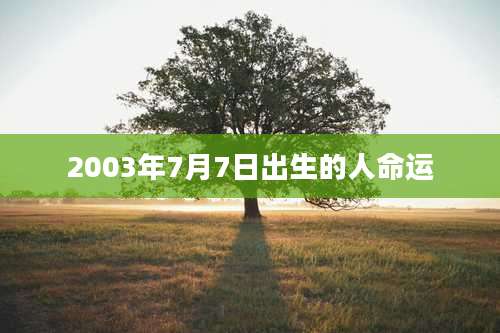 2003年7月7日出生的人命运