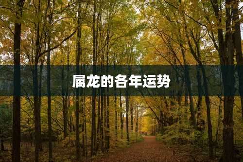 属龙的各年运势