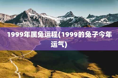 1999年属兔运程(1999的兔子今年运气)