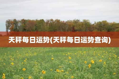 天秤每日运势(天秤每日运势查询)