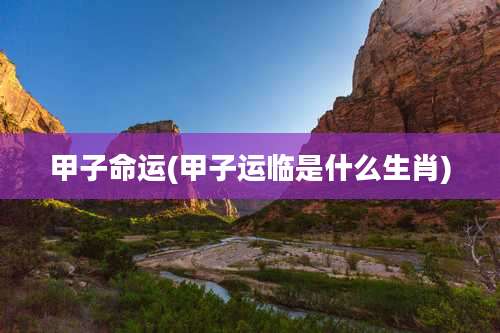 甲子命运(甲子运临是什么生肖)