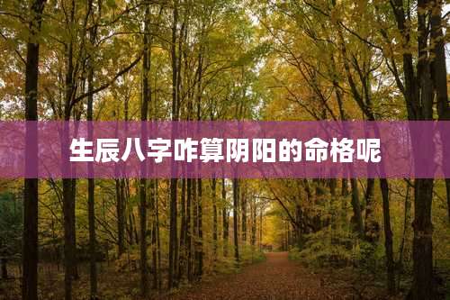 生辰八字咋算阴阳的命格呢