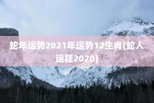 蛇年运势2021年运势12生肖(蛇人运程2020)