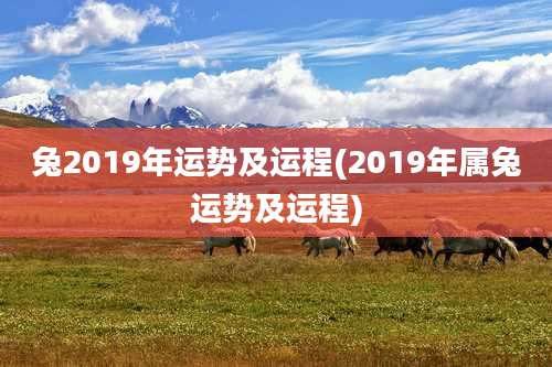 兔2019年运势及运程(2019年属兔运势及运程)