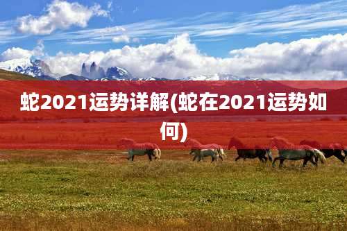 蛇2021运势详解(蛇在2021运势如何)