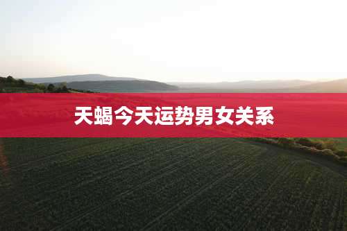 天蝎今天运势男女关系