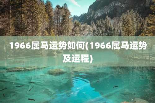 1966属马运势如何(1966属马运势及运程)