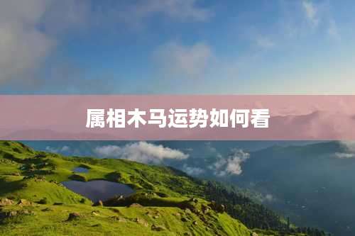 属相木马运势如何看