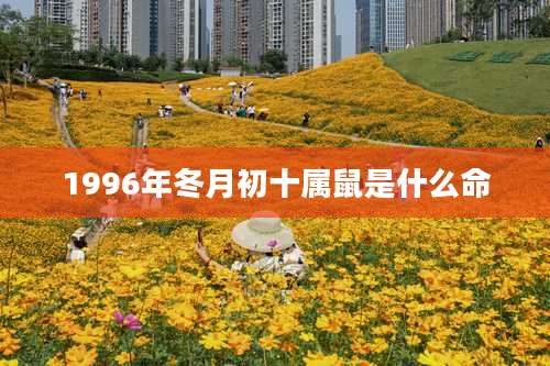 1996年冬月初十属鼠是什么命