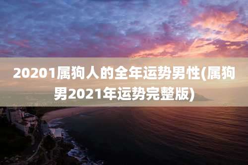 20201属狗人的全年运势男性(属狗男2021年运势完整版)
