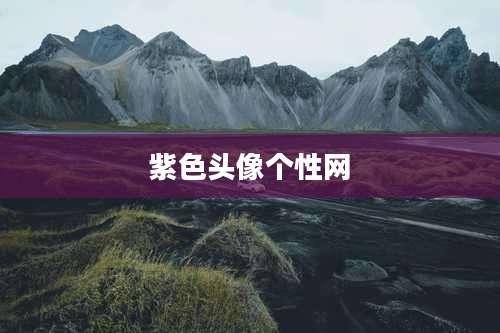 紫色头像个性网