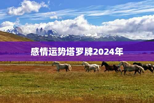 感情运势塔罗牌2024年