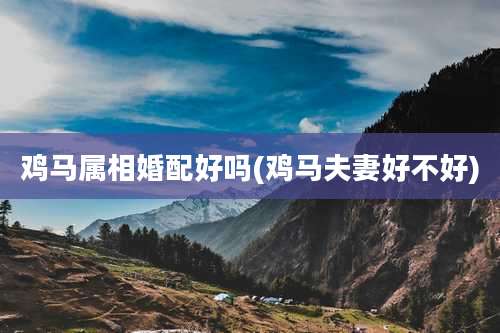 鸡马属相婚配好吗(鸡马夫妻好不好)