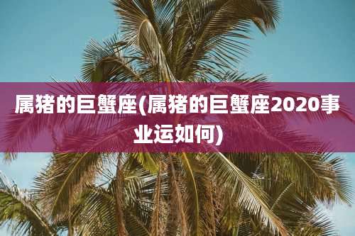 属猪的巨蟹座(属猪的巨蟹座2020事业运如何)