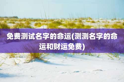 免费测试名字的命运(测测名字的命运和财运免费)