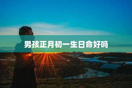 男孩正月初一生日命好吗