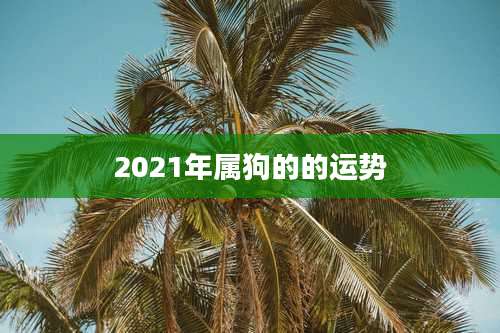 2021年属狗的的运势