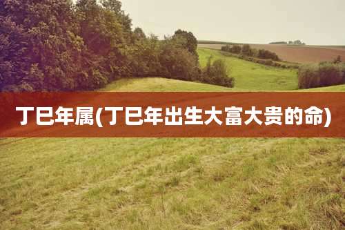 丁巳年属(丁巳年出生大富大贵的命)
