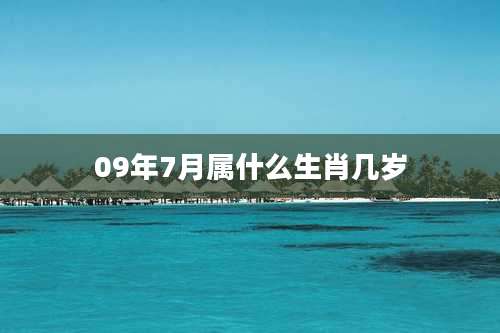 09年7月属什么生肖几岁