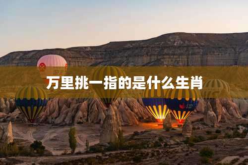 万里挑一指的是什么生肖