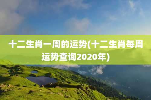 十二生肖一周的运势(十二生肖每周运势查询2020年)