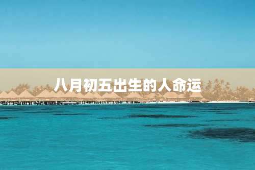 八月初五出生的人命运