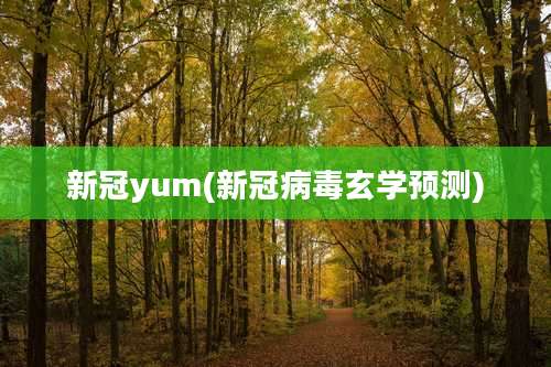 新冠yum(新冠病毒玄学预测)