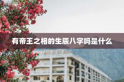 有帝王之相的生辰八字吗是什么