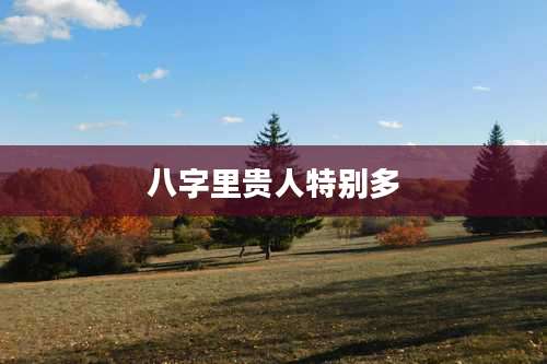 八字里贵人特别多