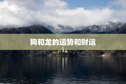 狗和龙的运势和财运