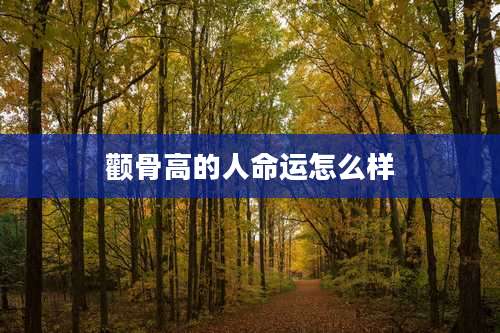颧骨高的人命运怎么样