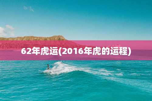 62年虎运(2016年虎的运程)