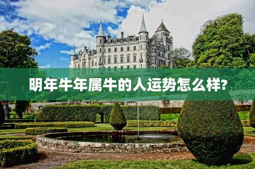 明年牛年属牛的人运势怎么样?