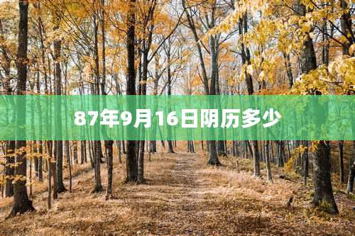 87年9月16日阴历多少
