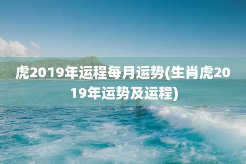 虎2019年运程每月运势(生肖虎2019年运势及运程)