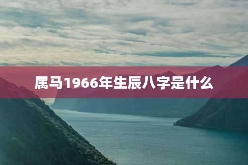属马1966年生辰八字是什么