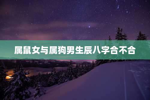 属鼠女与属狗男生辰八字合不合