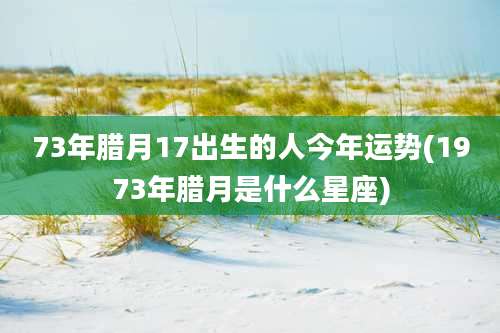 73年腊月17出生的人今年运势(1973年腊月是什么星座)