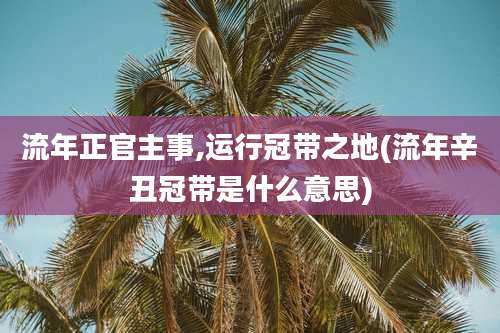 流年正官主事,运行冠带之地(流年辛丑冠带是什么意思)