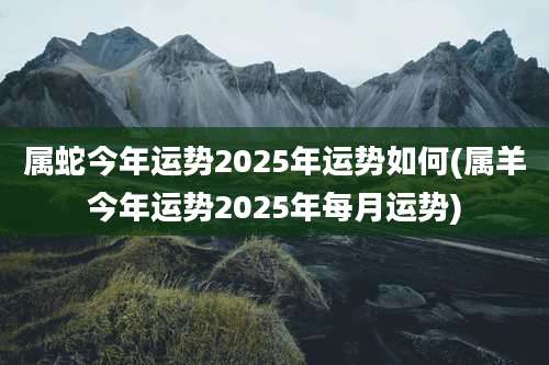 属蛇今年运势2025年运势如何(属羊今年运势2025年每月运势)