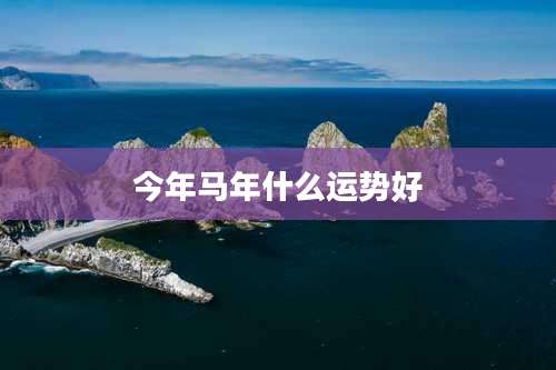 今年马年什么运势好