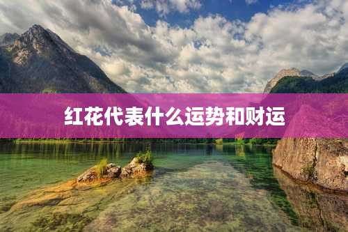 红花代表什么运势和财运