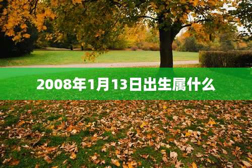 2008年1月13日出生属什么