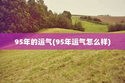 95年的运气(95年运气怎么样)