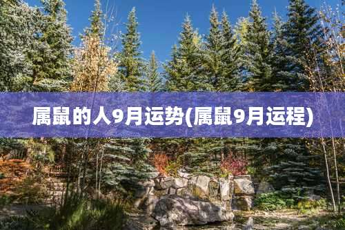 属鼠的人9月运势(属鼠9月运程)