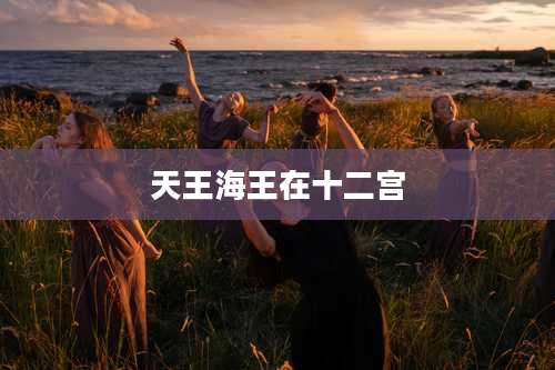 天王海王在十二宫