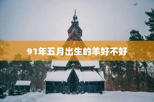 91年五月出生的羊好不好