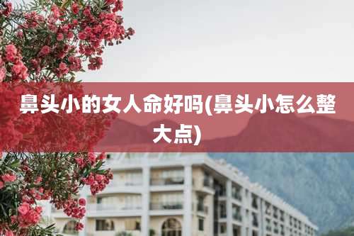 鼻头小的女人命好吗(鼻头小怎么整大点)