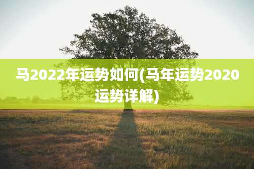 马2022年运势如何(马年运势2020运势详解)